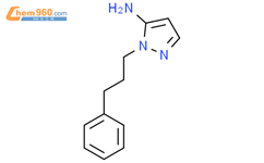 2-(3-phenyl-propyl)-2H-pyrazol-3-ylamine结构式