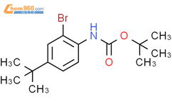 (2-溴-4-叔丁基-苯基)-氨基甲酸叔丁酯结构式图片|384793-22-0结构式图片