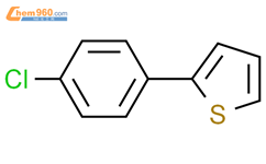 2-(4-氯苯基)噻吩结构式图片|40133-23-1结构式图片