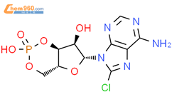 8-氯腺苷-3',5'-环状磷酸钠盐结构式图片|41941-56-4结构式图片