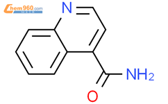 4-喹啉-羧酰胺