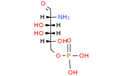 6-磷酸葡糖胺