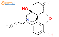 纳洛酮结构式图片|465-65-6结构式图片