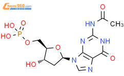 [(2R,3S,5R)-5-(2-acetamido-6-oxo-3H-purin-9-yl)-3-hydroxyoxolan-2-yl]methyl dihydrogen phosphate结构式图片|47487-60-5结构式图片