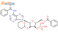 N-​苯甲酰基-​2'-​O-​(四氢-​2H-​吡喃-​2-​基)​-​3'-​腺苷酸 ​5'-​苯甲酸酯结构式图片|47858-13-9结构式图片