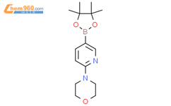 6-(4-吗啉基)吡啶-3-硼酸频哪醇酯结构式图片|485799-04-0结构式图片