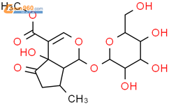 5-羟基马鞭草苷结构式图片|50816-24-5结构式图片