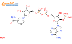 烟酰胺腺嘌呤双核苷酸磷酸盐结构式图片|53-59-8结构式图片