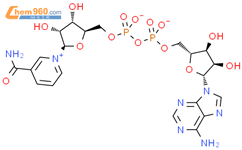 辅酶I结构式图片|53-84-9结构式图片