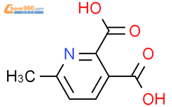 6-甲基-2,3-吡啶二羧酸结构式图片|53636-70-7结构式图片