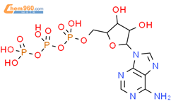 5'-三磷酸腺苷结构式图片|56-65-5结构式图片