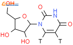 尿苷-5 6-3h结构式图片|56654-40-1结构式图片