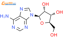 腺苷结构式图片|58-61-7结构式图片