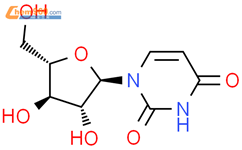 尿苷结构式图片|58-96-8结构式图片