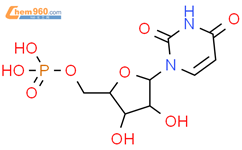 尿苷單磷酸结构式图片|58-97-9结构式图片