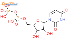 尿苷5-二磷酸酯结构式图片|58-98-0结构式图片