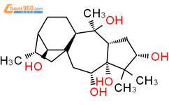 Grayanotoxane-3,5,6,10,14-pentol,(3b,6b,14R)- (9CI)结构式图片|59236-83-8结构式图片