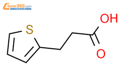 3-(2-噻吩)丙酸结构式图片|5928-51-8结构式图片