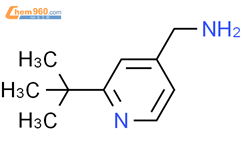 (2-tert-butylpyridin-4-yl)methanamine结构式图片|608515-19-1结构式图片