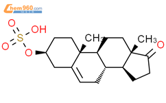 硫酸脱氢表雄酮651489