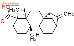 异贝壳杉烯酸结构式图片|6730-83-2结构式图片