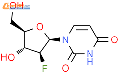 1-(2-脱氧-2-氟-beta-D-阿拉伯呋喃基)尿嘧啶结构式图片|69123-94-0结构式图片