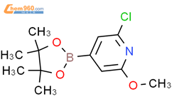 2-氯-6-甲氧基吡啶-4-硼酸频那醇酯结构式图片|697739-24-5结构式图片