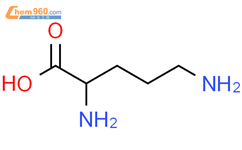 2,5-二氨基戊酸结构式图片|70-26-8结构式图片