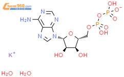 腺苷-5'-二磷酸一钾盐二水合物结构式图片|72696-48-1结构式图片