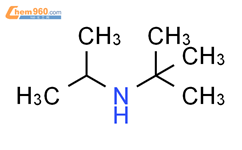N-叔丁基异丙醇胺结构式图片|7515-80-2结构式图片