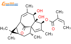 20-脱氧腺苷3-当归酸