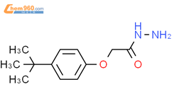 2-(4-叔丁基苯氧基)乙烷肼结构式图片|75843-50-4结构式图片
