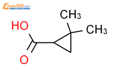 2,2-二甲基环丙甲酸结构式图片|75885-59-5结构式图片