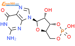 鸟苷-3ˊ,5ˊ-环一磷酸结构式图片|7665-99-8结构式图片