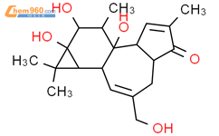 (1bS,4aS,7aR,7bR,8R,9R)-7b,9,9a-trihydroxy-3-(hydroxymethyl)-1,1,6,8-tetramethyl-1,1a,1b,4,4a,7a,7b,8,9,9a-decahydro-5H-cyclopropa[3,4]benzo[1,2-e]azulen-5-one