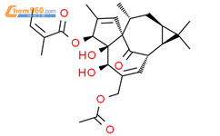巨大戟醇-3-O-当归酸-20-乙酸酯结构式图片|82425-35-2结构式图片