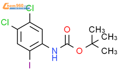 Tert Butyl N Dichloro Iodophenyl Carbamate