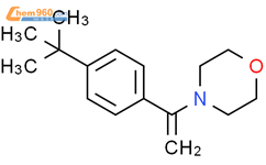 Morpholine, 4-[1-[4-(1,1-dimethylethyl)phenyl]ethenyl]-结构式图片|852816-30-9结构式图片