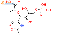 （2R）-2-[（2R，3R，4R，5R）-2-乙酰氨基-4,5-二羟基-1-氧代-6-磷氧基己-3-基]氧基丙酸
