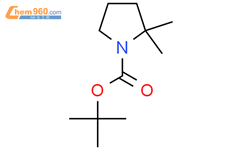 tert-Butyl 2,2-dimethylpyrrolidine-1-carboxylate