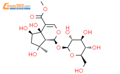 6β-野芝麻新甙结构式图片|87797-84-0结构式图片
