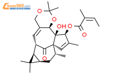 巨大戟醇-5,20-缩丙酮-3-当归酸酯结构式图片|87980-68-5结构式图片