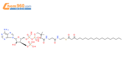 S-（3-氧代二十烷酸酯）-辅酶A结构式图片|88297-33-0结构式图片