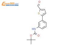 Tert-Butyl (3-(5-formylthiophen-2-yl)phenyl)carbamate结构式图片|886509-51-9结构式图片