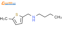 butyl(5-methylthiophen-2-yl)methylamine结构式图片|893611-64-8结构式图片