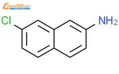 7-chloronaphthalen-2-amine结构式图片|90799-47-6结构式图片