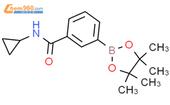 3-(N-氯丙氨基羰基)苯硼酸频那醇酯结构式图片|914397-31-2结构式图片