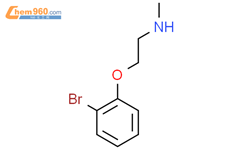 [2-(2-Bromophenoxy)ethyl](methyl)amine