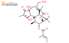 12-O-Tiglylphorbol-13 –isobutyrate结构式图片|92214-54-5结构式图片