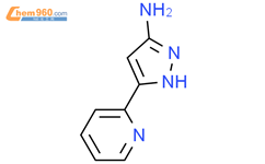 5-氨基-3-(2-吡啶基))-1H-吡唑结构式图片|92352-29-9结构式图片